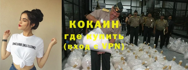 прущие грибы Абинск