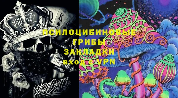 прущие грибы Липки