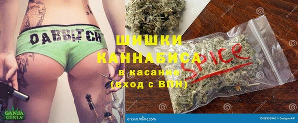 прущие грибы Абинск