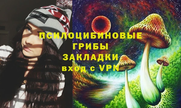 прущие грибы Абинск