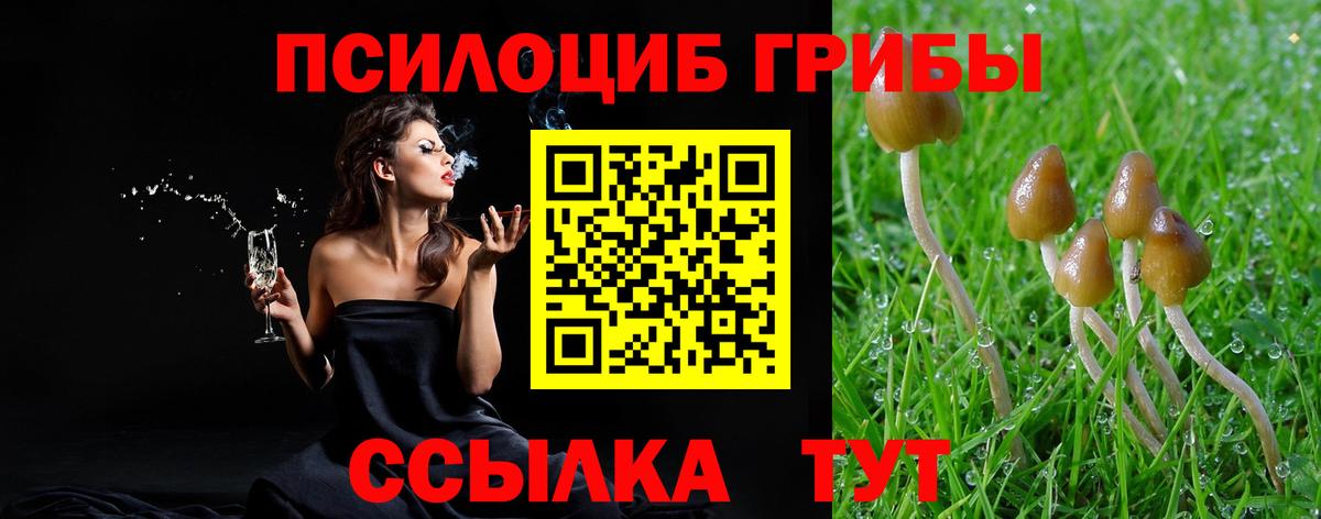 Псилоцибиновые грибы Cubensis  Вход с VPN  Галлюциногенные грибы Psilocybine cubensis  Химки 